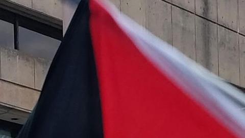 Estudiantes se manifiestan a favor Palestina en un campamento estudiantil.