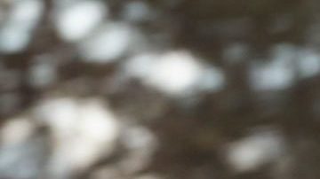 Ben Affleck y Jennifer López posando.