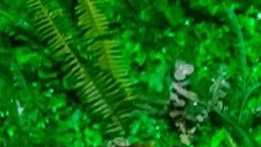 Yahritza y su Esencia posando.