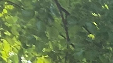 Tener más espacios verdes ayuda a mitigar el calor.