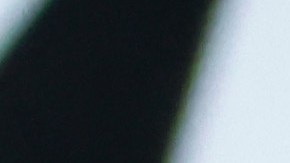 El entrenador consideró que su equipo ha tenido un gran desempeño dentro de la Liga MX.