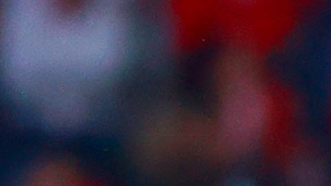 El entrenador cementero se mantendrá en el banquillo hasta 2027.