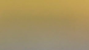 Jaime Lozano es el entrenador de México para esta Copa América 2024.