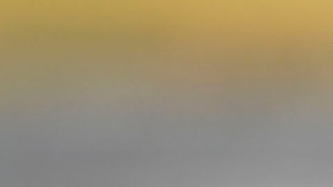 Jaime Lozano es el entrenador de México para esta Copa América 2024.