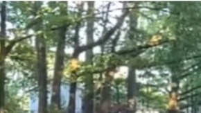 K9 Sika encontró al niño en un bosque