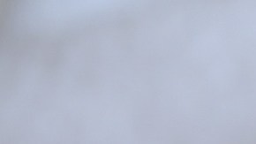 La madre de los bebés hallados congelados no será juzgada