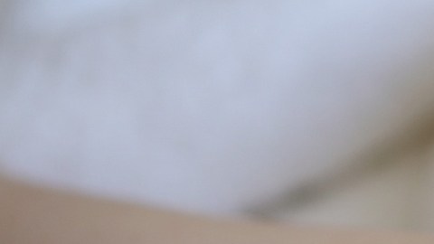 La madre de los bebés hallados congelados no será juzgada