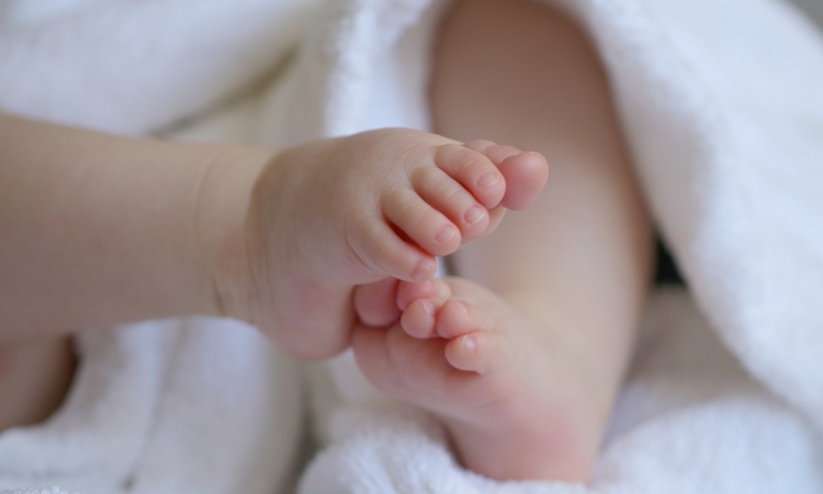 La madre de los cuatro bebés encontrados en el congelador de una casa en Massachusetts no será juzgada
