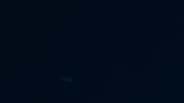 Luna de Flores
