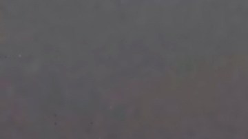 Lupillo Rivera, participante de 'La Casa de los Famosos 4'.