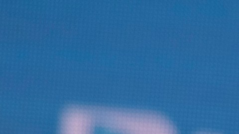 Marcelo Bielsa es el entrenador de la Selección de Uruguay.