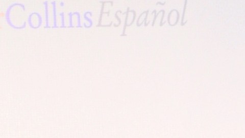 Maripily Rivera, actriz puertorriqueña.