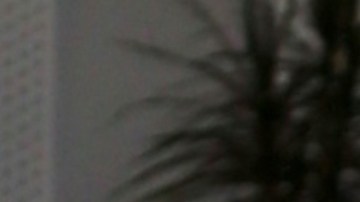 Mark Tacher, actor mexicano, salió de 'Top Chef VIP 3'.