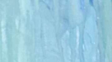 Nuria Morgado nació en Barcelona (España) en 1964.