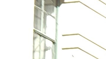 Las trabajadoras sindicalizadas tienen protecciones contra el despido.