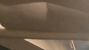 Activistas boricuas en Washington D.C.