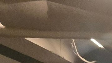 Activistas boricuas en Washington D.C.