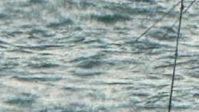 La familia y el capitán del barco fueron trasladados a la estación de la Guardia Costera de EE.UU. en Puerto Cañaveral.