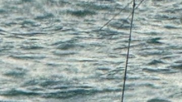 La familia y el capitán del barco fueron trasladados a la estación de la Guardia Costera de EE.UU. en Puerto Cañaveral.