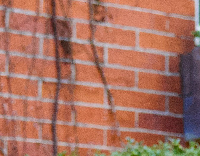 Harry Styles y Taylor Russell