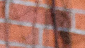 Harry Styles y Taylor Russell