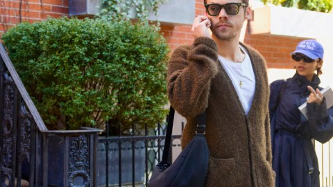 Harry Styles y Taylor Russell