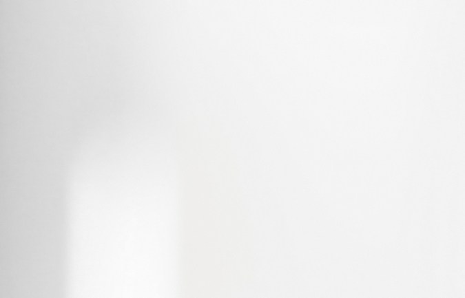 Perro cocker spaniel