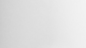 Perro cocker spaniel