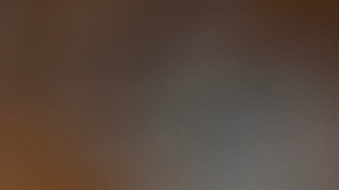 Pug