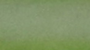 Recurso presentado por la FIFA sobre la demanda por el uso del spray, fue admitido parcialmente por el Tribunal Supremo de Brasil