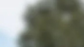 De Izq. a Der.: Los reclusos fugados fueron identificados como Omarion Hookfin, Avery Guidry, Jamarcus Cyprian y Travon Johnson.