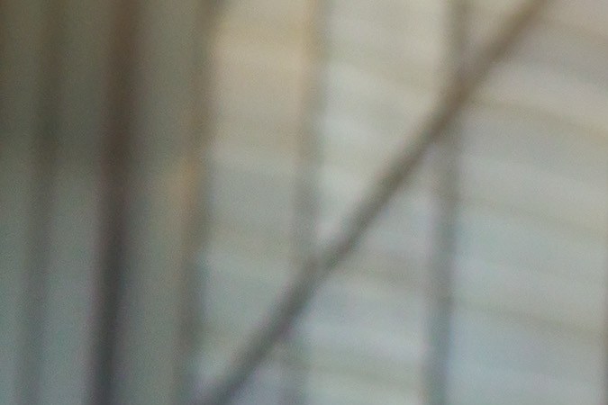 Impulsando el éxito empresarial en Nueva York: Verizon alcanza a 300,000 negocios con su Programa Small Business Digital Ready