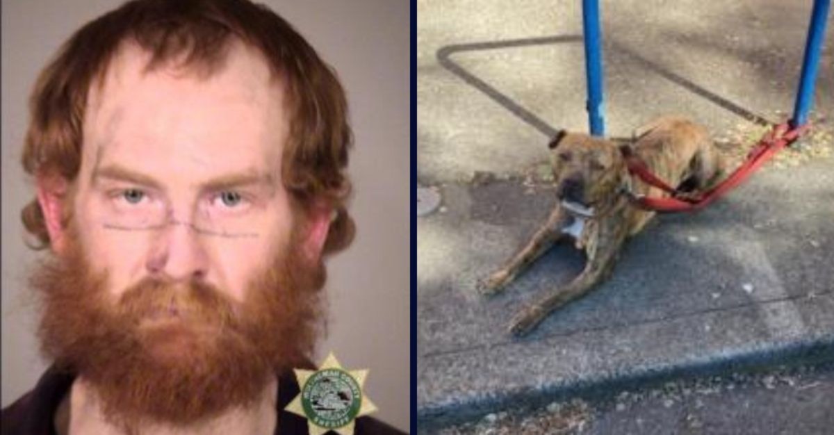 Hombre le ordenó a su pitbull atacar a un negro y le gritó un insulto racista: policía