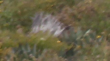 Surfistas asesinados en Baja California