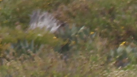 Surfistas asesinados en Baja California