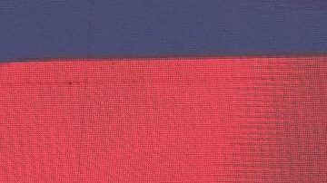 Max Verstappen, piloto de Red Bull, celebra tras ganar el GP de Imola.