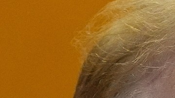 Elon Musk se reunirá con Donald Trump y transmitirá el evento en directo a través de X