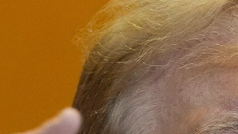 Elon Musk se reunirá con Donald Trump y transmitirá el evento en directo a través de X