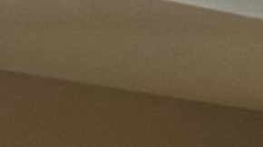 Familiares y amigos celebraron el 103 cumpleaños a don Santiago Ureña en el centro PACE de CenterLight Healthcare. /Cortesía