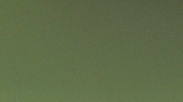 propina-formas-groseras