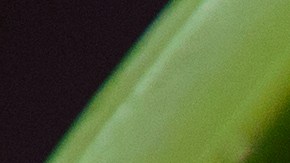 Desperdicio de alimentos