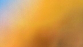 El precio de la piña Rubyglow es elevado por la manera de producción que implica un proceso de recolección “meticulosa”.