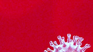 Detectan por primera vez en una granja de Estados Unidos alpacas infectadas con gripe aviar