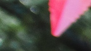 Latin,Woman,Dancer,Wearing,Traditional,Mexican,Dress,Traditional,From,Guadalajara