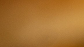 Día de la hamburguesa