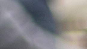 tiendas-abiertas-memorial-day