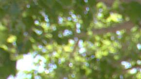 María Macías y Christopher Orozco, integrantes de la Unión de Trabajadores Culinarios, visitan viviendas para impulsar el voto a favor de candidatos progresistas, este martes en Las Vegas, Nevada (Estados Unidos).