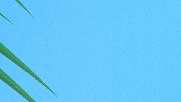 Sandra Echeverría y Leonardo de Lozanne.