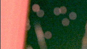 Sofía Vergara posando.