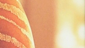 Sofía Vergara posando.